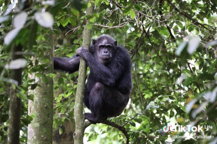 niwe tours 7.03.15 am (1)