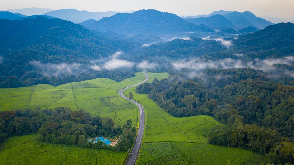 Nyungwe National Park
