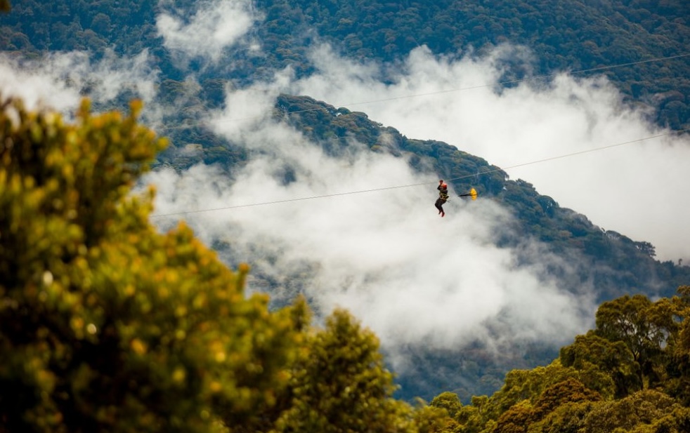 Zipline in Nyungwe, Rwanda