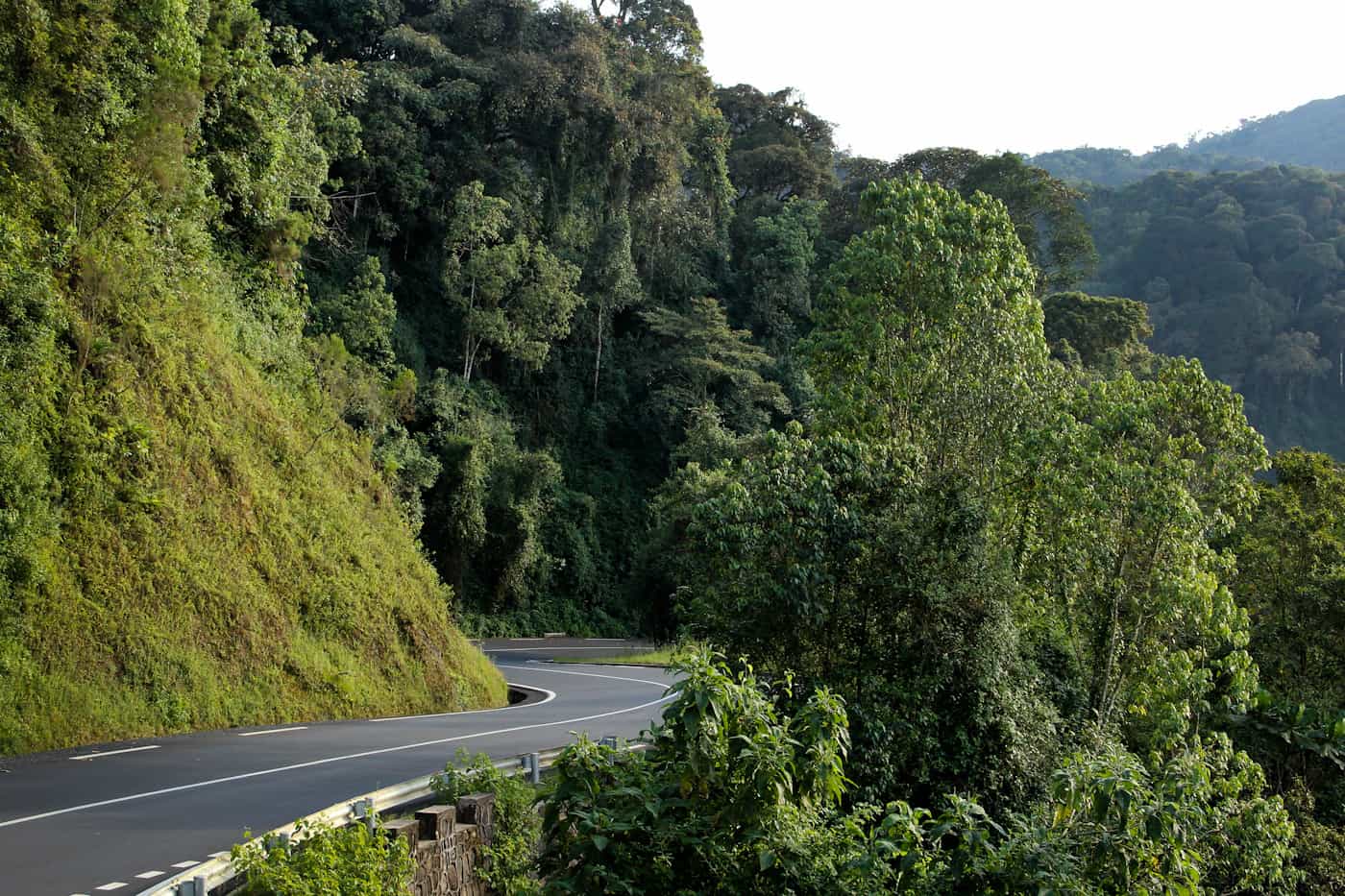 nyungwe road
